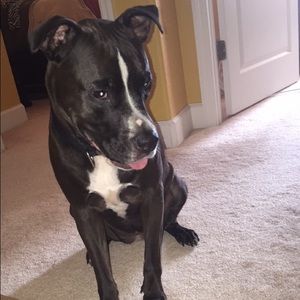 Meet your Posher, Alisha