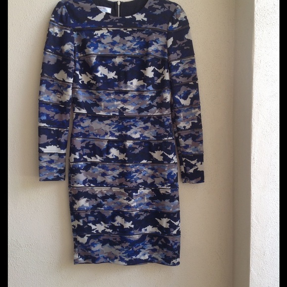 Ivy & blue dress