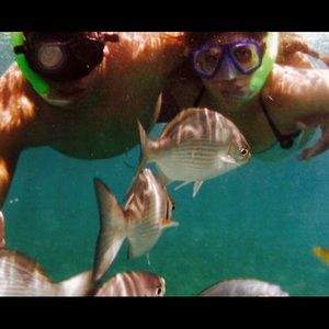 Meet your Posher, Heidi