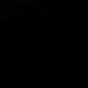 Meet your Posher, Ella