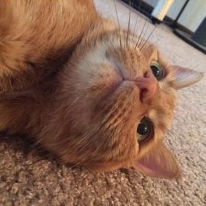 Meet your Posher, Hyebin