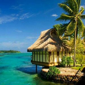 Meet your Posher, Ely