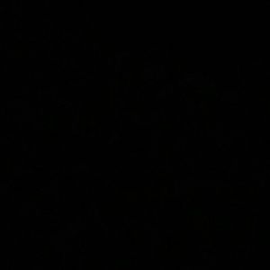 Meet your Posher, Audrey