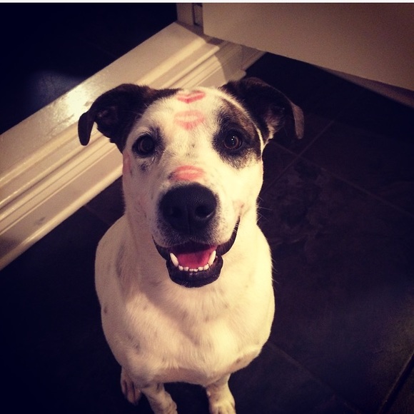 Meet your Posher, Brooke - Picture 1 of 1