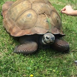 Meet your Posher, Jenna