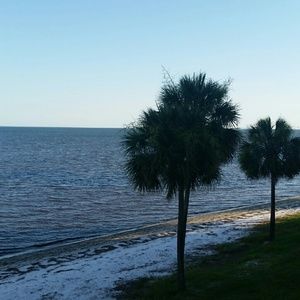 Meet your Posher, Sadie