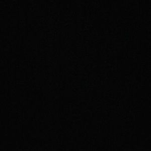 Meet your Posher, Alayna