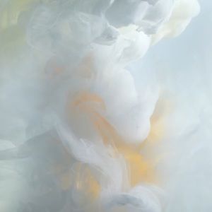 Meet your Posher, Jacqueline