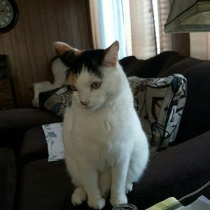 Meet your Posher, Norma