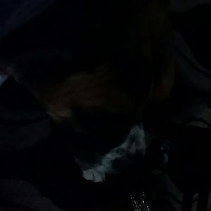 Meet your Posher, Odetta