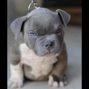 Meet your Posher, Tasha