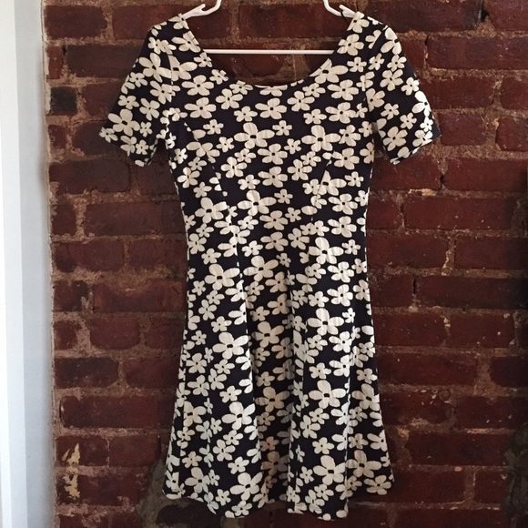 NWT Floral Skater Dress