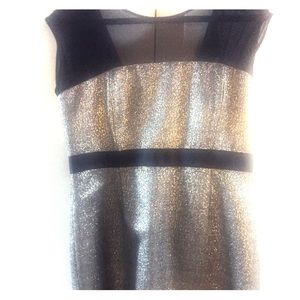 Metallic/sheer semi formal dress