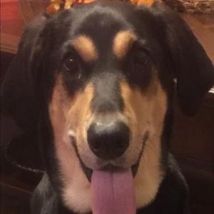 Meet your Posher, Amy