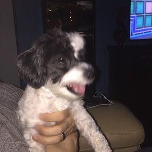 Meet your Posher, Jen