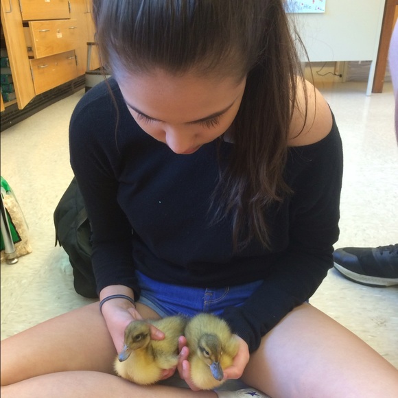 meet your posher, chels - Picture 2 of 2