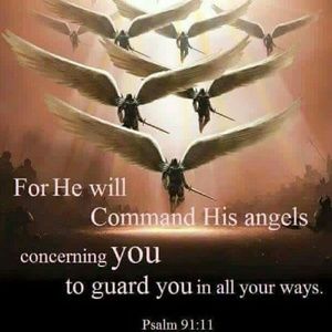 Meet your Posher, Glenda