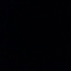 Meet your Posher, Kasey