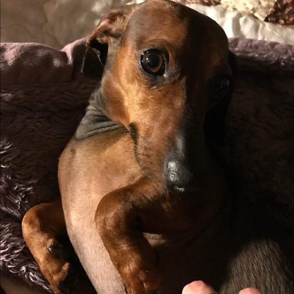 Robyn lover of life, fashion proud mother of 4 🤓 - Picture 2 of 4