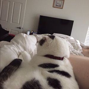 Meet your Posher, Anna