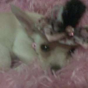 Meet your Posher, Cheryl