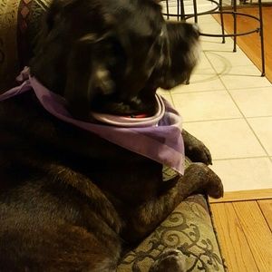 Meet your Posher, Theresa