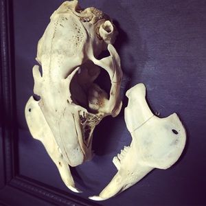 Meet your Posher, Dustin