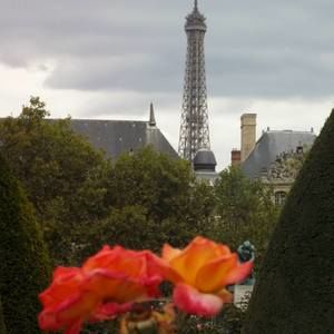 Meet your Posher, Barbara