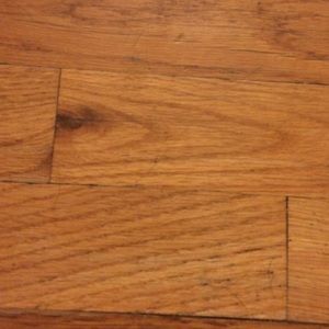 Meet your Posher, Tanika