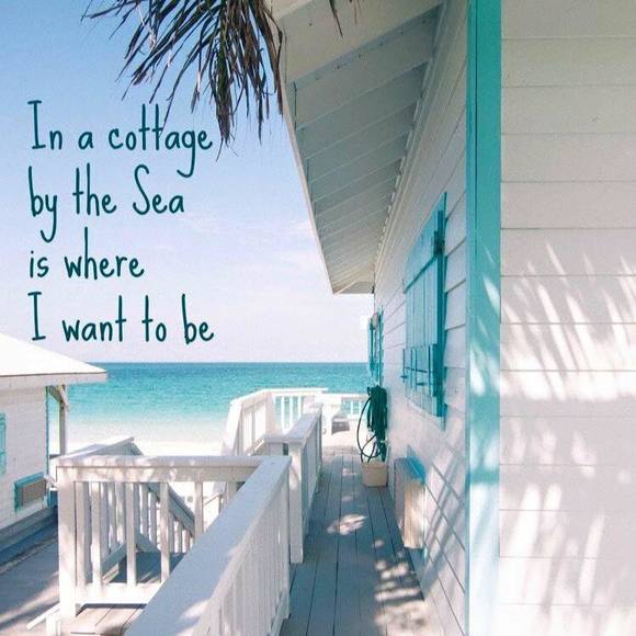 Meet your Posher, Laurie - Picture 1 of 1