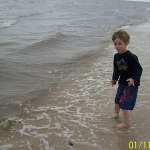 Meet your Posher, Ginger