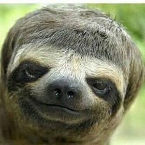 Meet your Posher, Bonnie