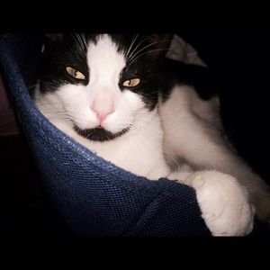 Meet your Posher, Claire