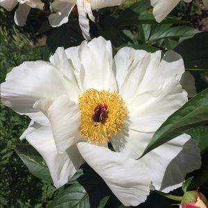 Meet your Posher, Tina