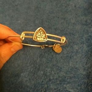Alex & Ani Steady Vessel bracelet