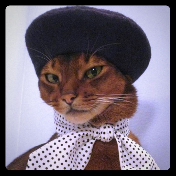 Meet your Posher, Samantha - Picture 1 of 1