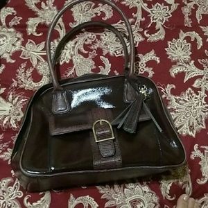 Ann Taylor Burgundy Bag