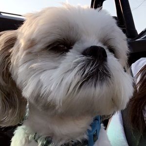 Meet your Posher, Christina