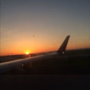 Meet your Posher, Lily