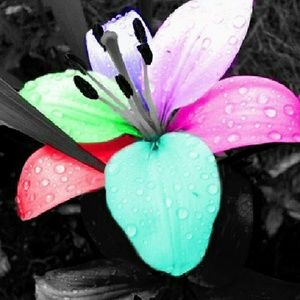 Meet your Posher, Brenda