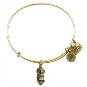 Alexi and Ani Bangle