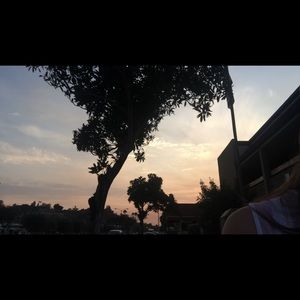 Meet your Posher, Millie