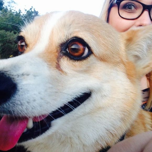 Meet your Posher, Chole