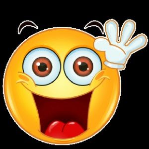 Meet your Posher, Suzanna