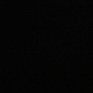 Meet your Posher, Sophia