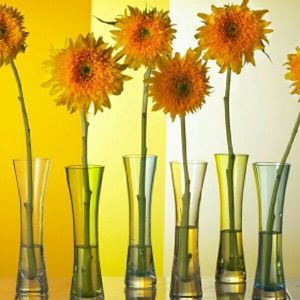 Meet your Posher, Sherry