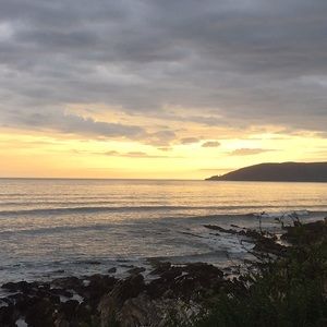 Meet your Posher, Jillian