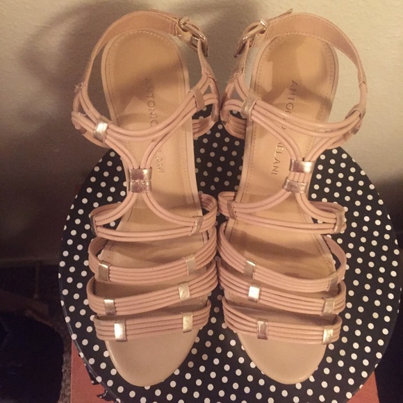Brand new Antonio Melanie wedges