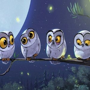 Meet your Posher, Debi