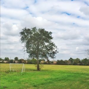 Meet your Posher, Muzdelife